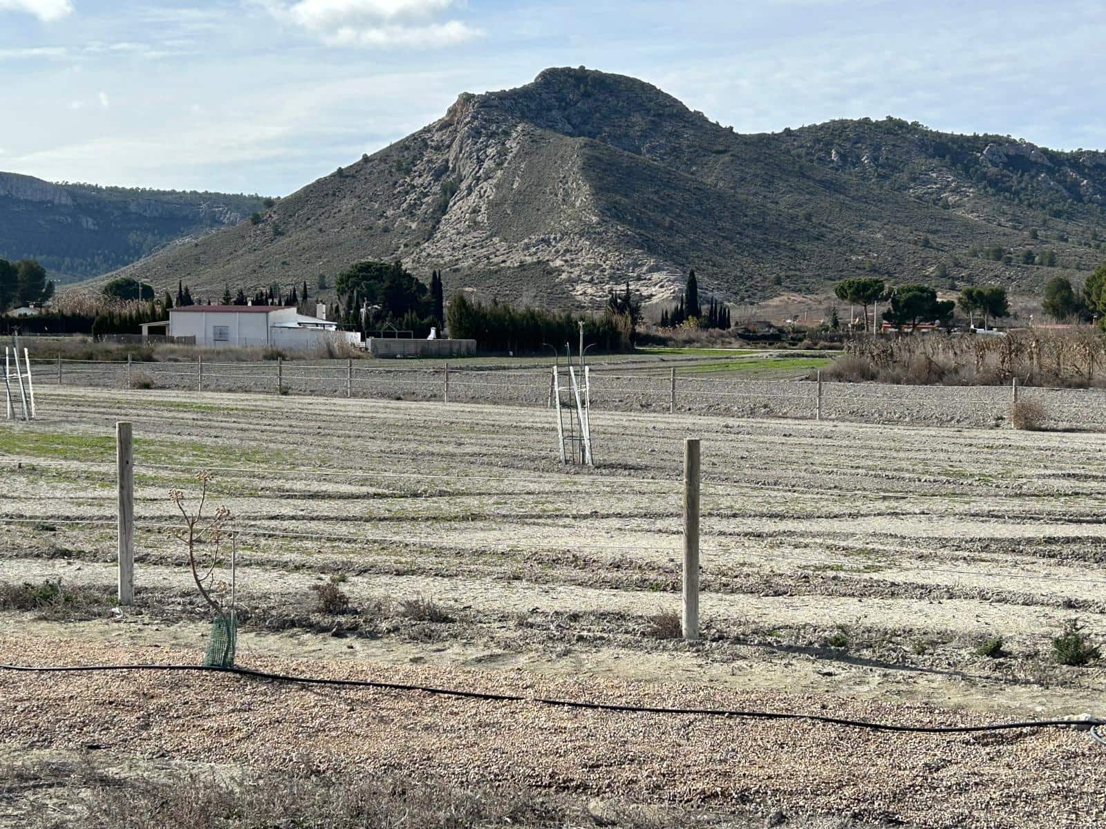 5 soverom Finca/Herregård til salgs i Villena med svømmebasseng garasje - € 299 950 (Ref: 9532801)