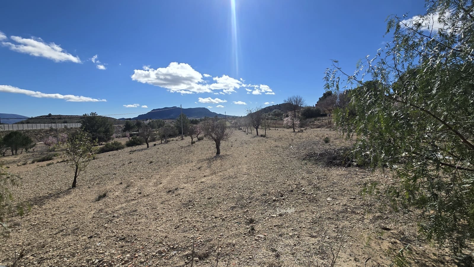 4 slaapkamer Finca/Landhuis te koop in Sax met zwembad - € 260.000 (Ref: 9606681)