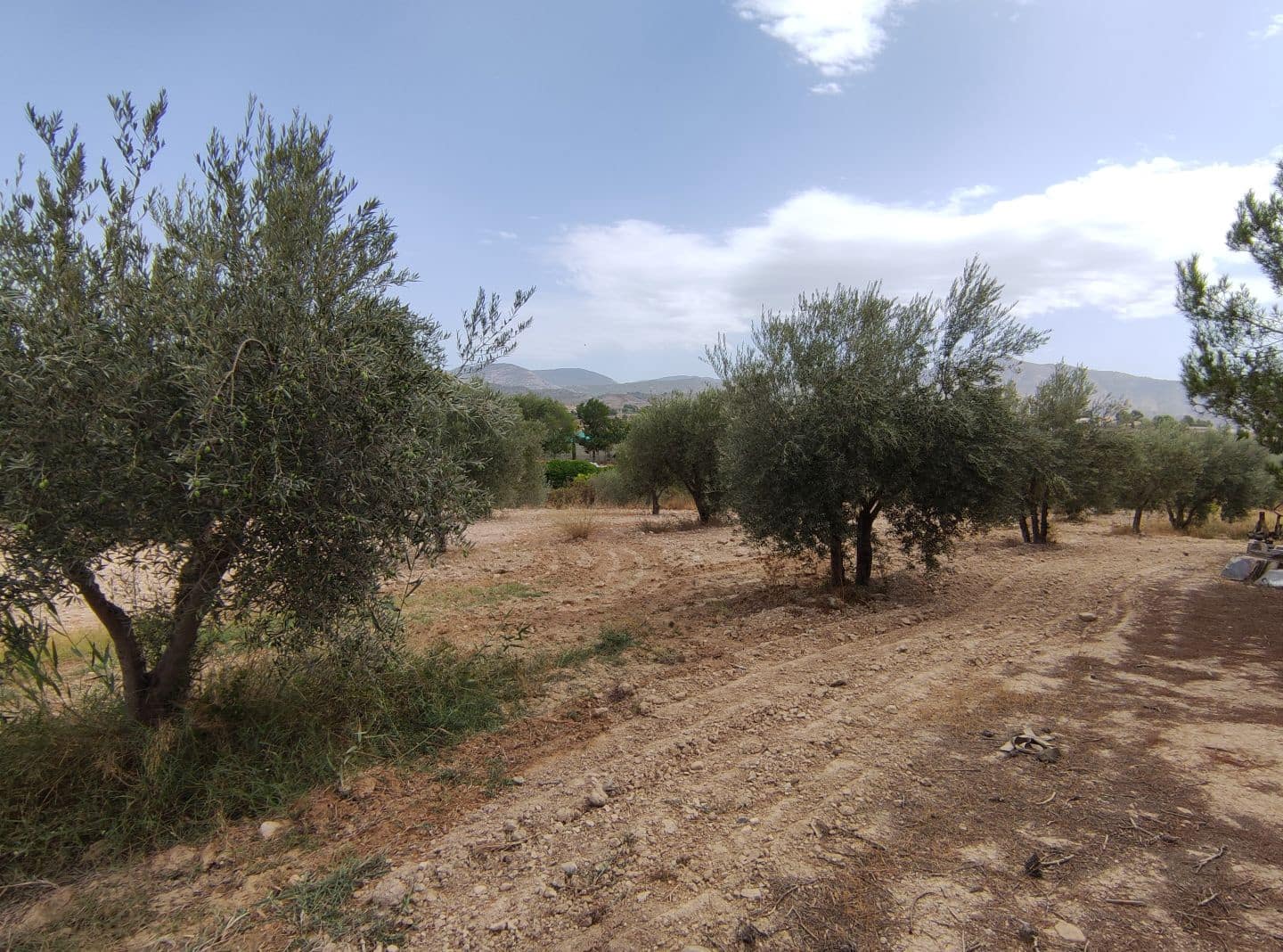 5 Zimmer Finca/Landgut zu verkaufen in Sax mit Pool - 449.000 € (Ref: 9626452)