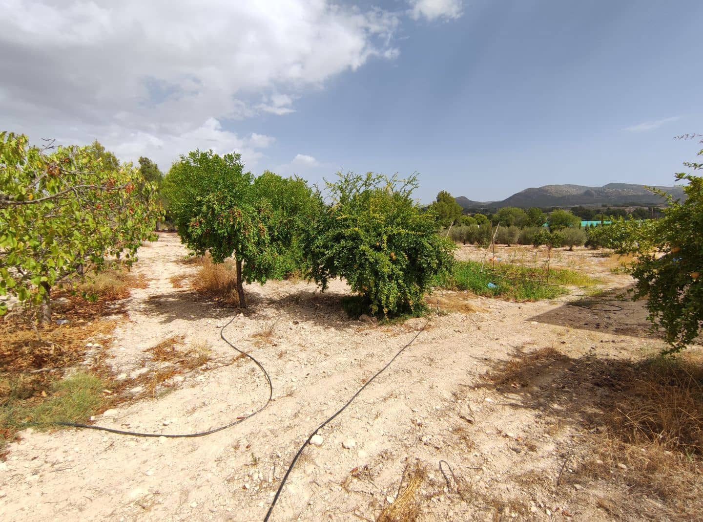 5 Zimmer Finca/Landgut zu verkaufen in Sax mit Pool - 449.000 € (Ref: 9626452)