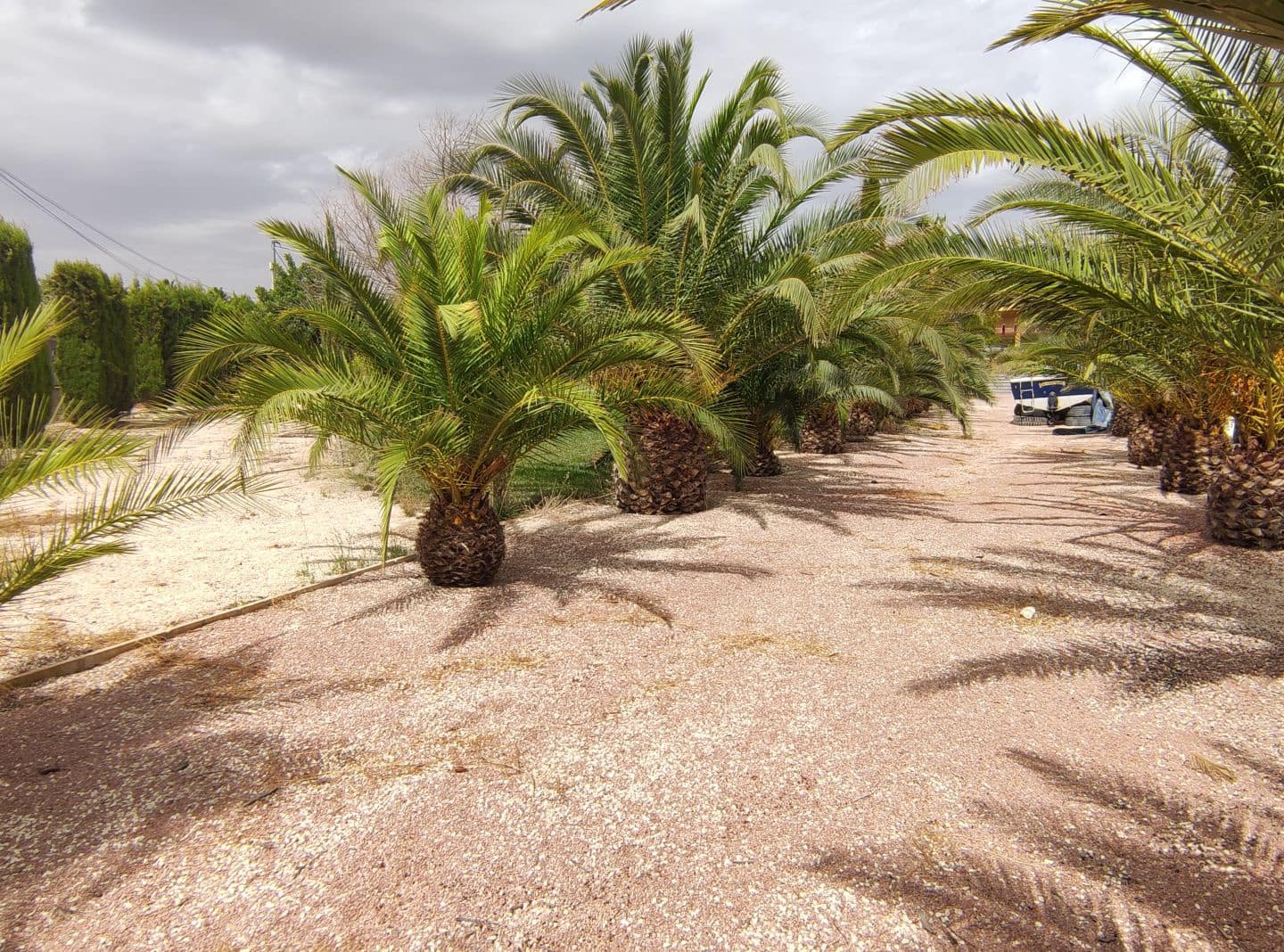 5 Zimmer Finca/Landgut zu verkaufen in Sax mit Pool - 449.000 € (Ref: 9626452)