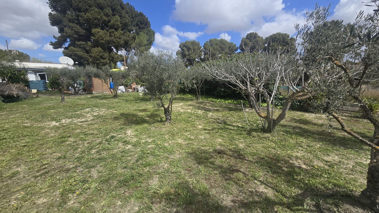 3 soverom Finca/Herregård til salgs i Sax med svømmebasseng garasje - € 230 000 (Ref: 9730781)