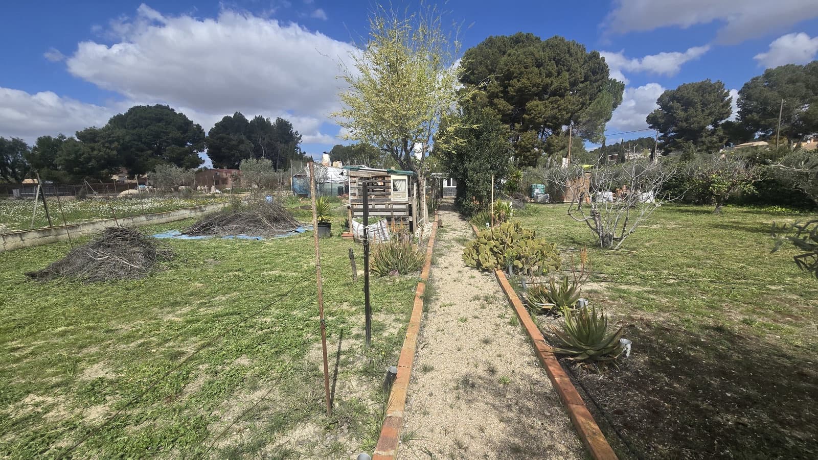 3 bedroom Finca/Country House for sale in Sax with pool garage - € 199,999 (Ref: 9730781)