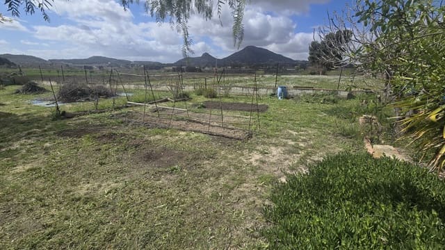 3 sovrum Finca/Hus på landet till salu i Sax med pool garage - 199 999 € (Ref: 9730781)