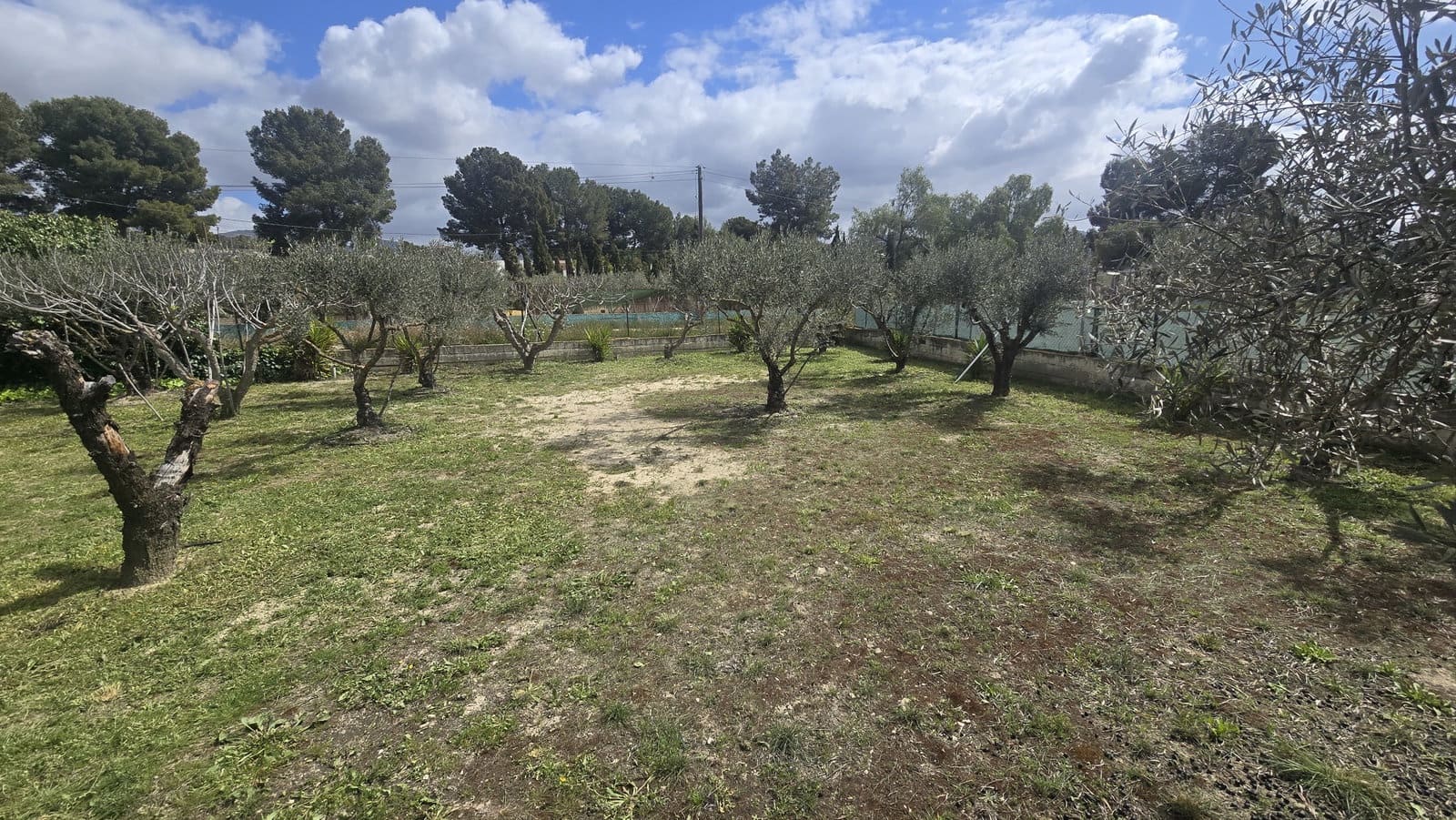 3 bedroom Finca/Country House for sale in Sax with pool garage - € 199,999 (Ref: 9730781)
