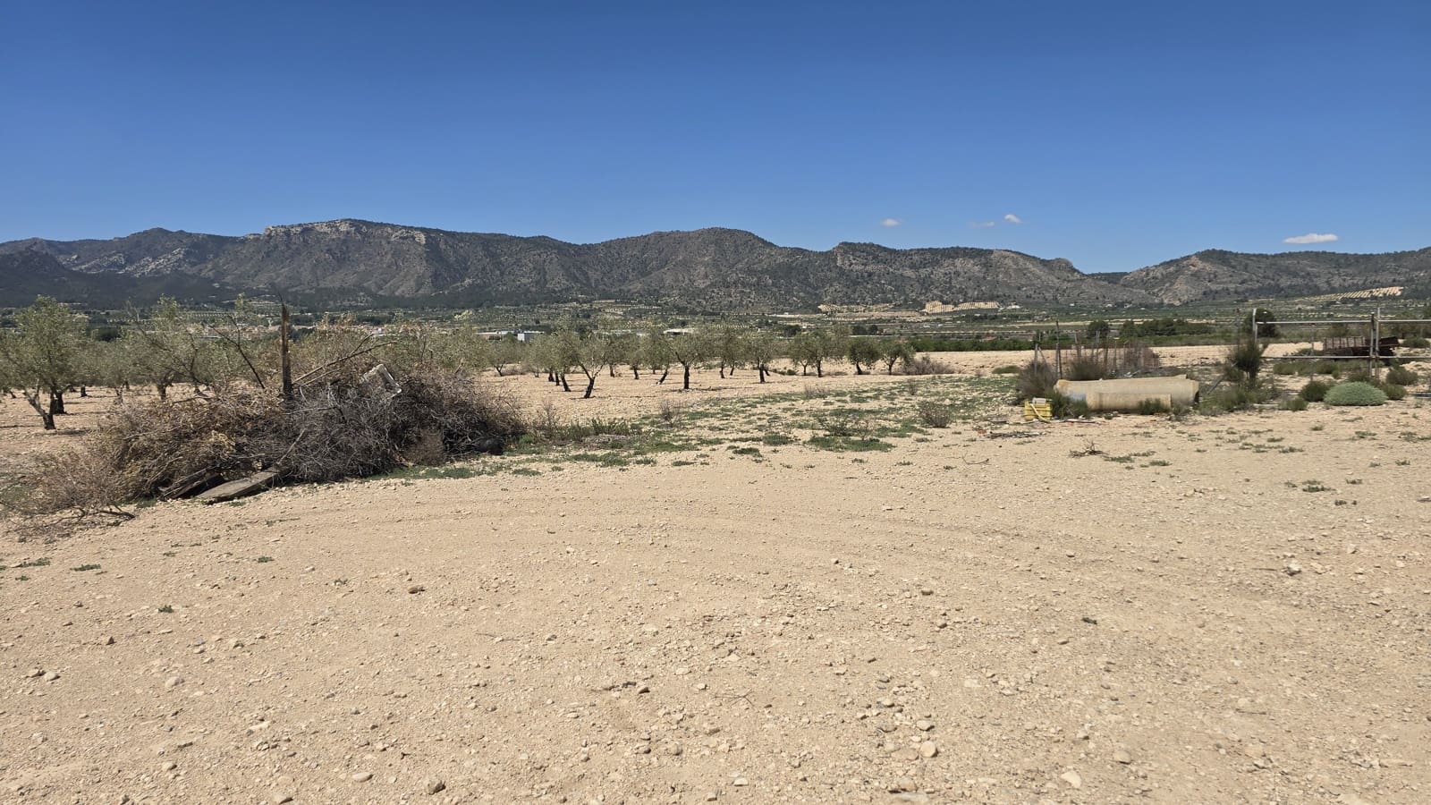 4 slaapkamer Finca/Landhuis te koop in Salinas - € 270.000 (Ref: 9784368)