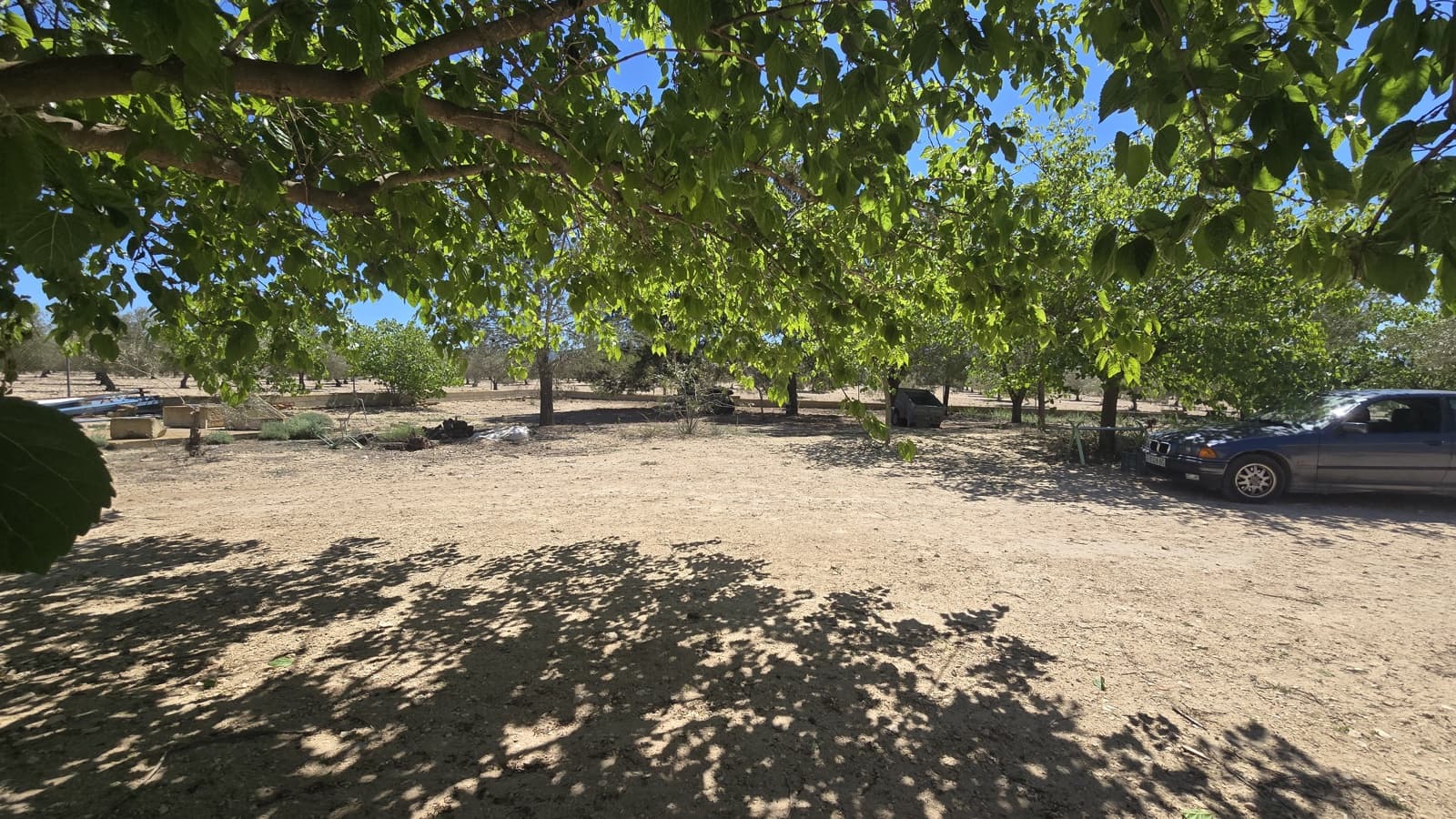 4 slaapkamer Finca/Landhuis te koop in Salinas - € 270.000 (Ref: 9784368)