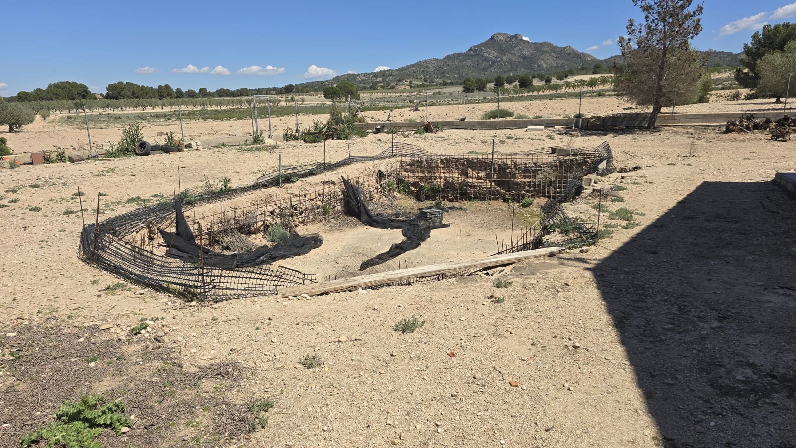 4 slaapkamer Finca/Landhuis te koop in Salinas - € 270.000 (Ref: 9784368)