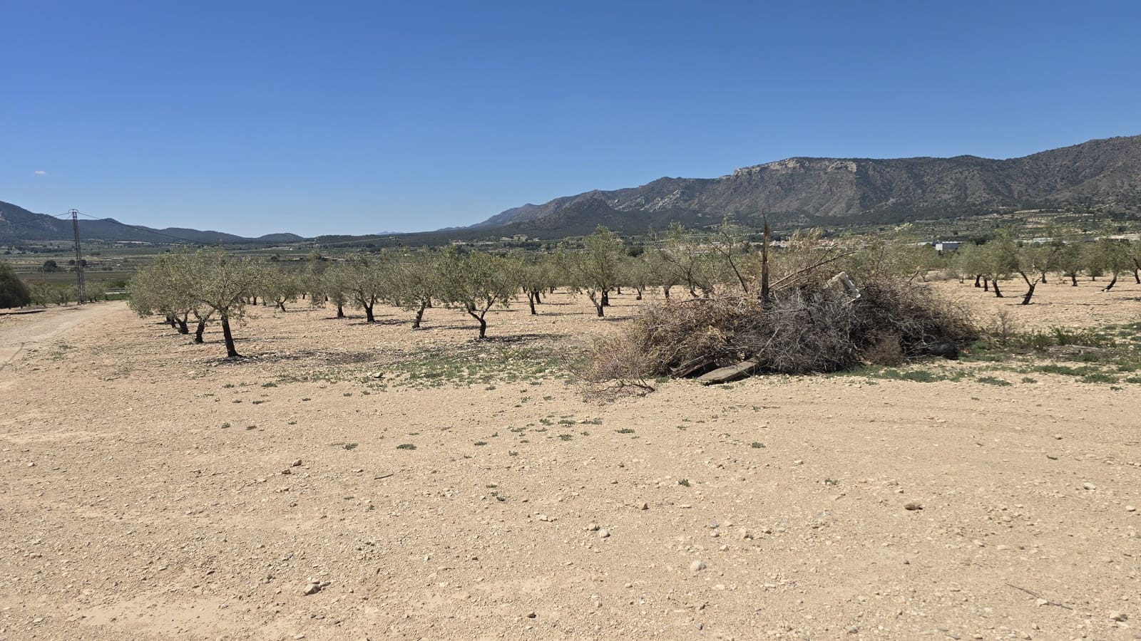 4 slaapkamer Finca/Landhuis te koop in Salinas - € 270.000 (Ref: 9784368)