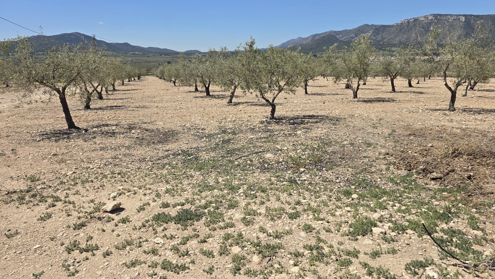 4 soveværelse Finca/Landehus til salg i Salinas med garage - € 270.000 (Ref: 9784368)
