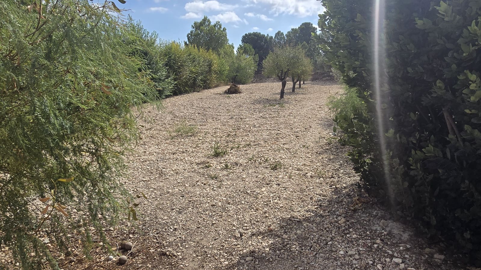 5 bedroom Finca/Country House for sale in Sax with pool - € 349,950 (Ref: 9802774)