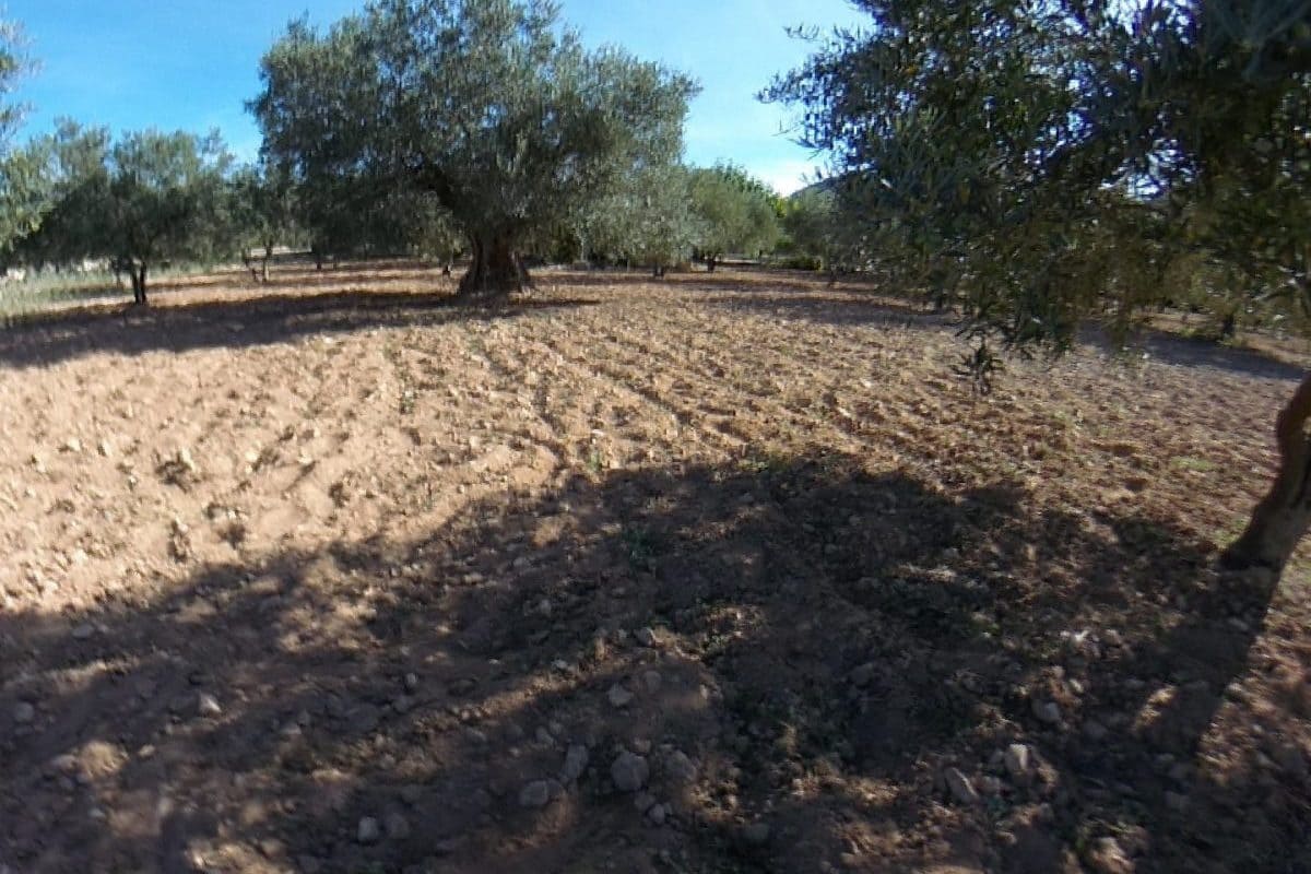 2 bedroom Finca/Country House for sale in Sax with pool garage - € 155,000 (Ref: 9819140)