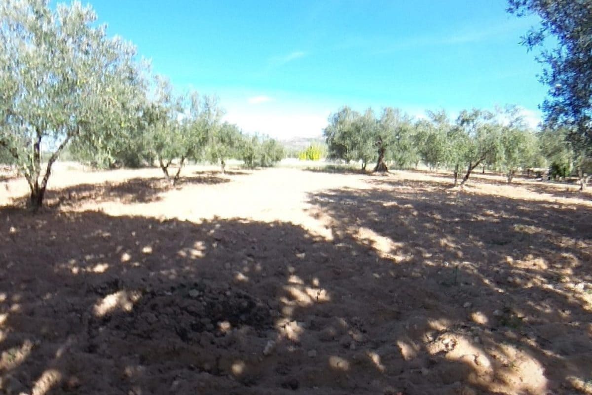 2 bedroom Finca/Country House for sale in Sax with pool garage - € 155,000 (Ref: 9819140)