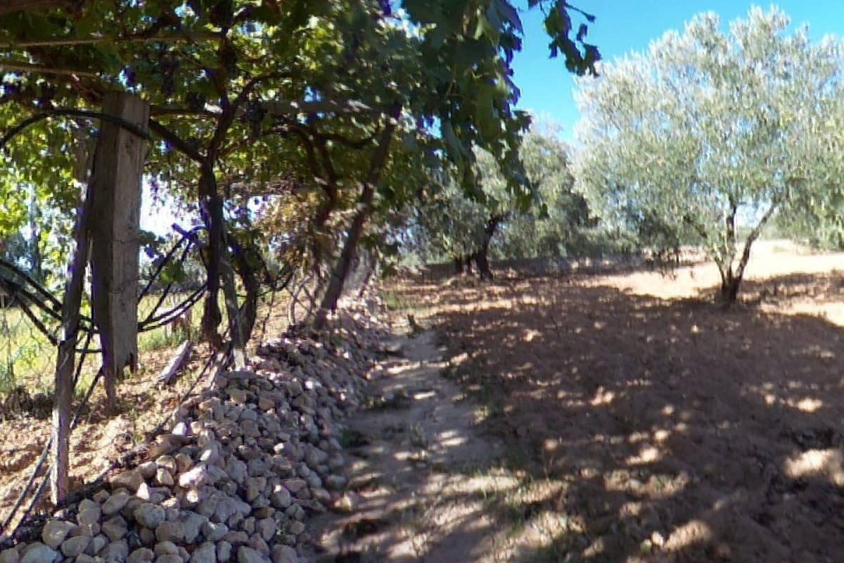 2 bedroom Finca/Country House for sale in Sax with pool garage - € 155,000 (Ref: 9819140)