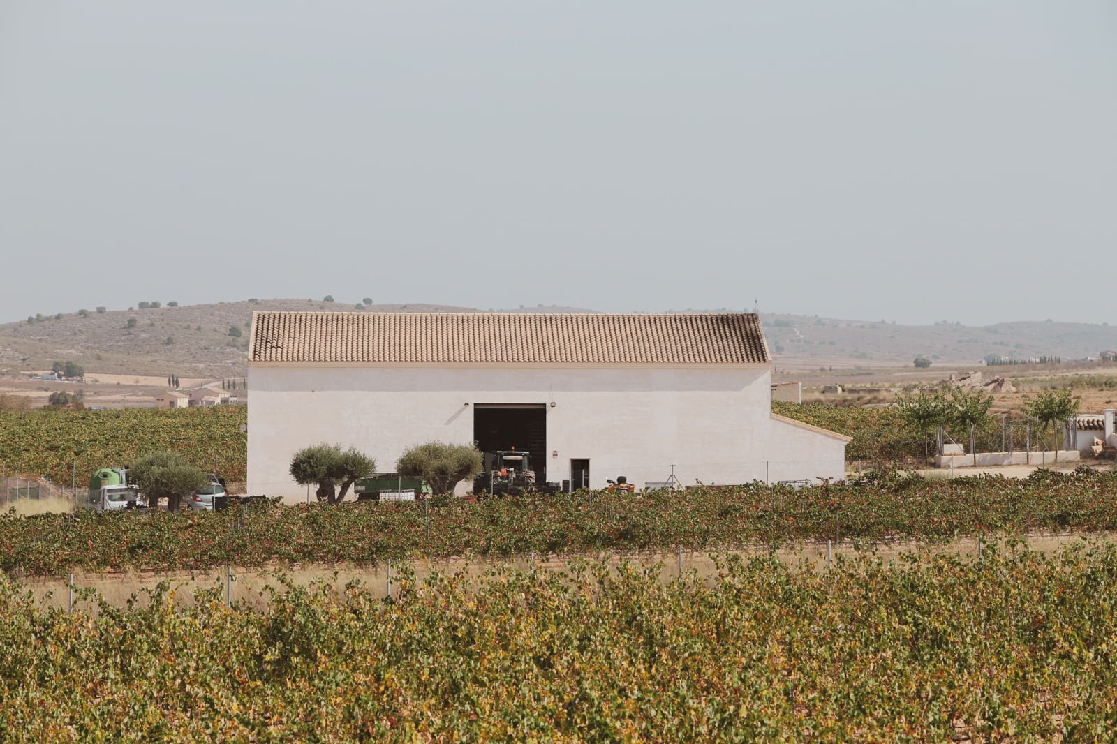 14 bedroom Commercial for sale in Yecla with pool garage - € 1,750,000 (Ref: 9821332)