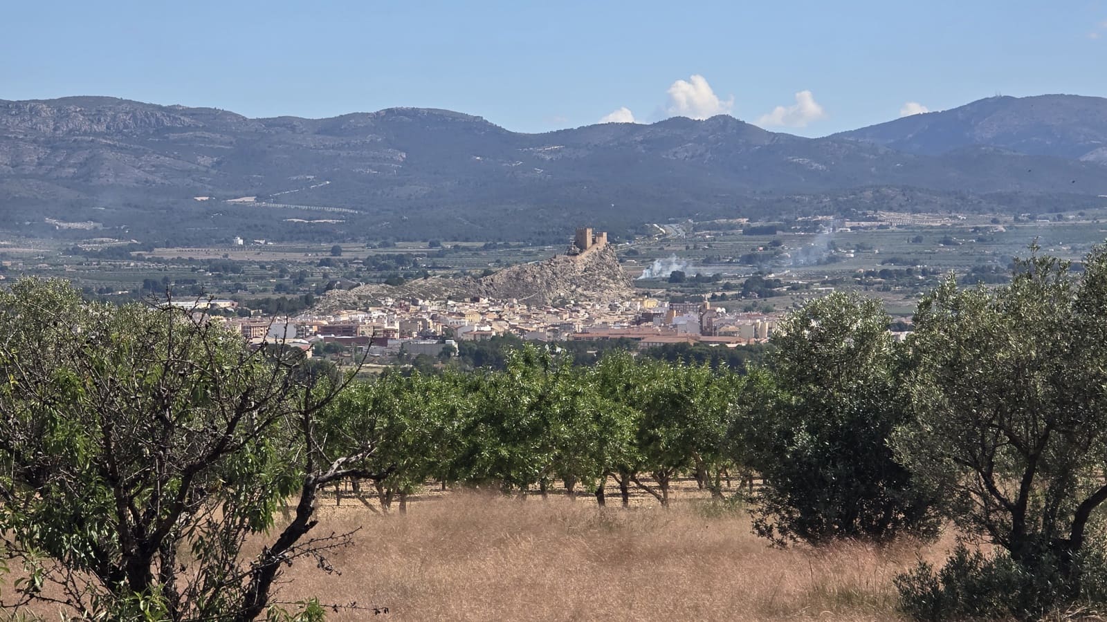 Finca/Casa Rural de 3 habitaciones en Sax en venta con piscina - 299.950 € (Ref: 9834532)