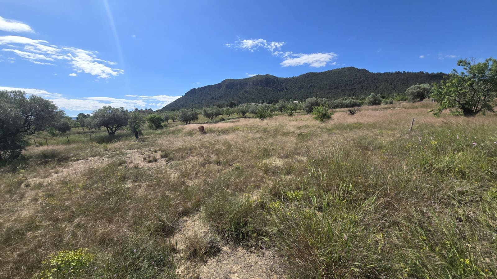 Finca/Casa Rural de 3 habitaciones en Sax en venta con piscina - 299.950 € (Ref: 9834532)