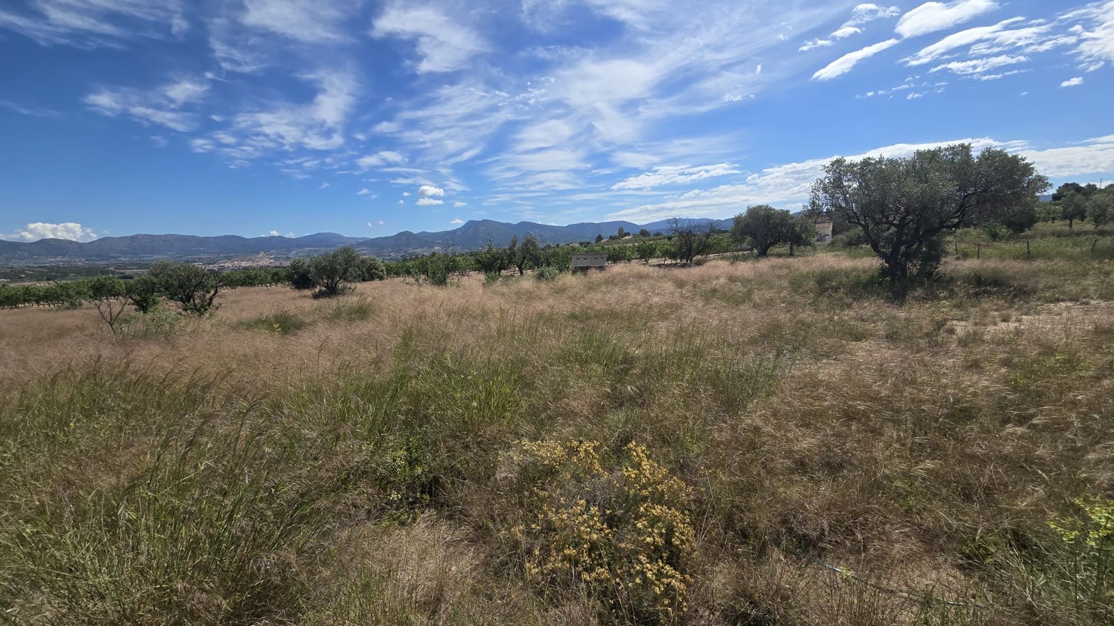 Finca/Casa Rural de 3 habitaciones en Sax en venta con piscina - 299.950 € (Ref: 9834532)