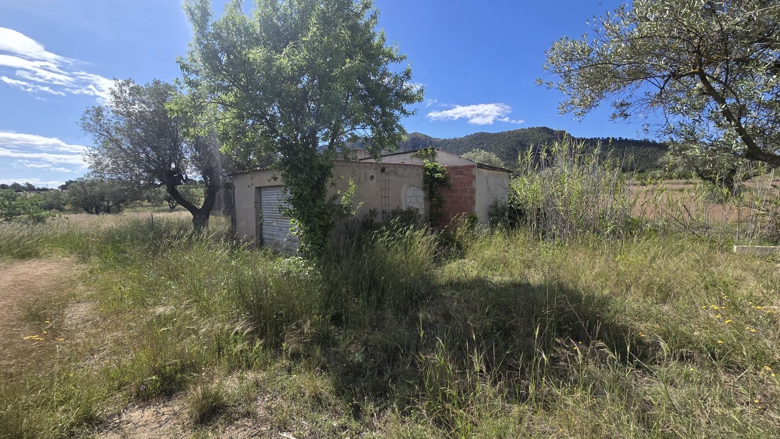 3 chambre Finca/Maison de Campagne à vendre à Sax avec piscine garage - 299 950 € (Ref: 9834532)