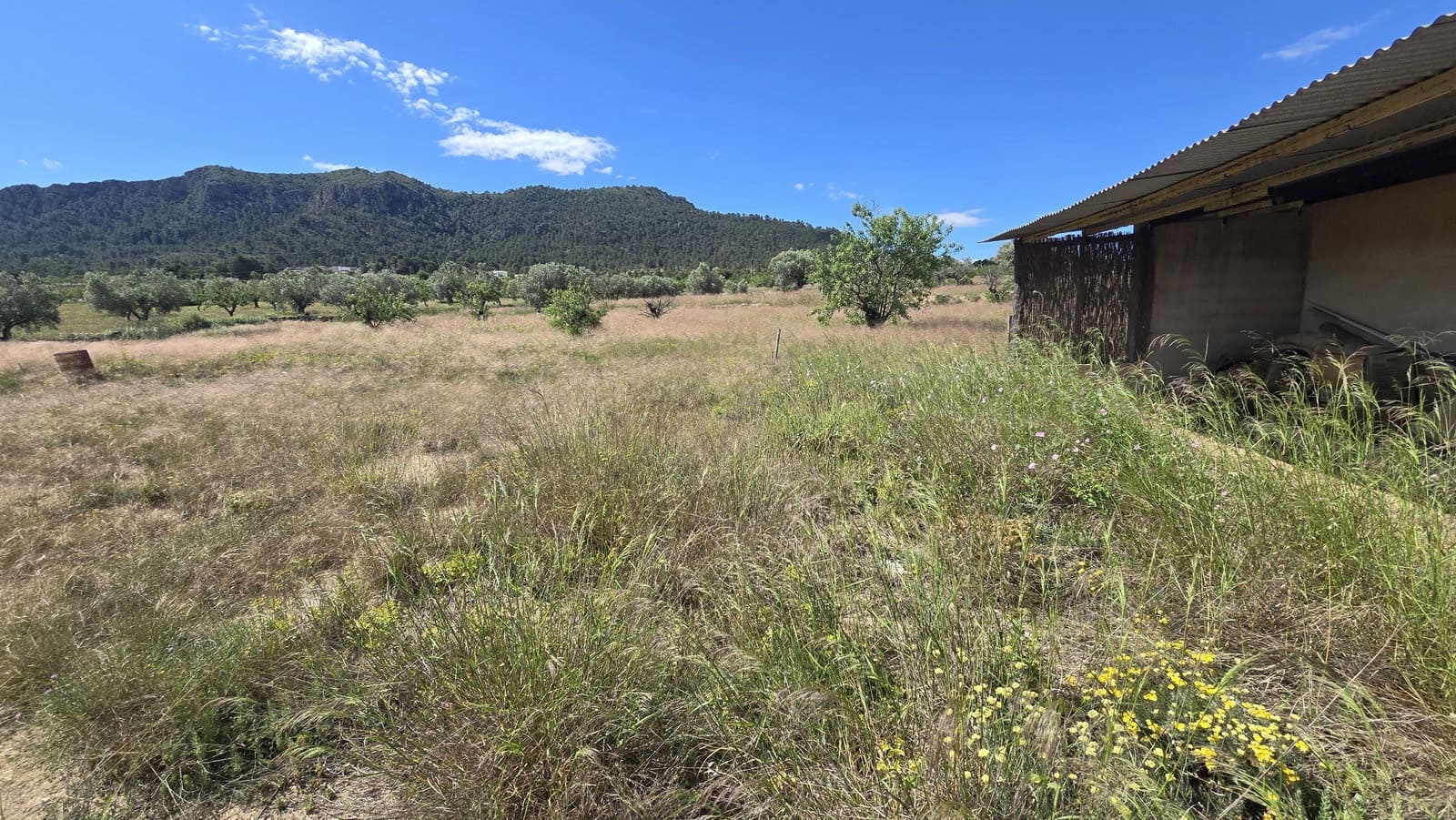 3 chambre Finca/Maison de Campagne à vendre à Sax avec piscine garage - 299 950 € (Ref: 9834532)
