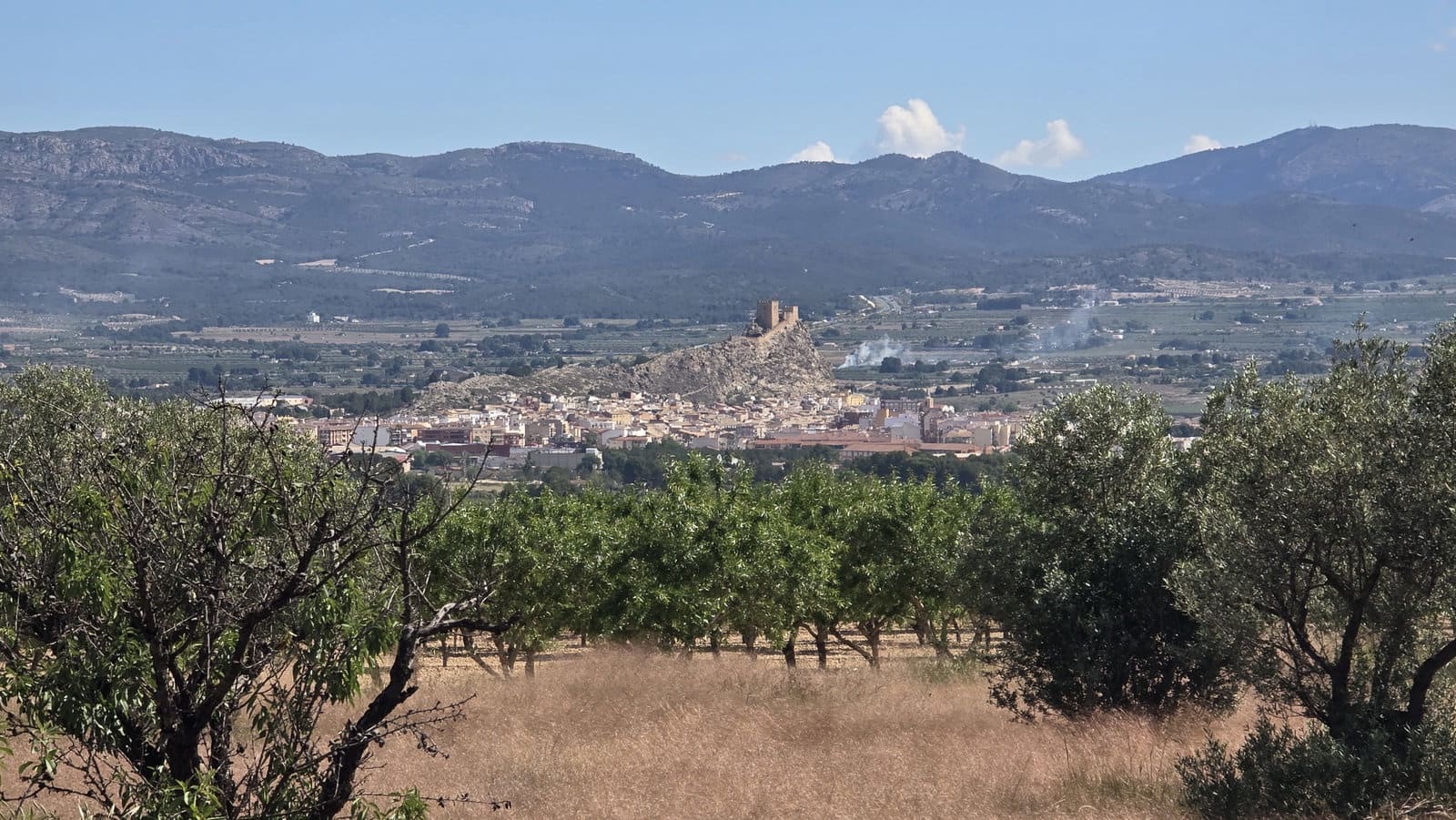 3 chambre Finca/Maison de Campagne à vendre à Sax avec piscine garage - 299 950 € (Ref: 9834532)