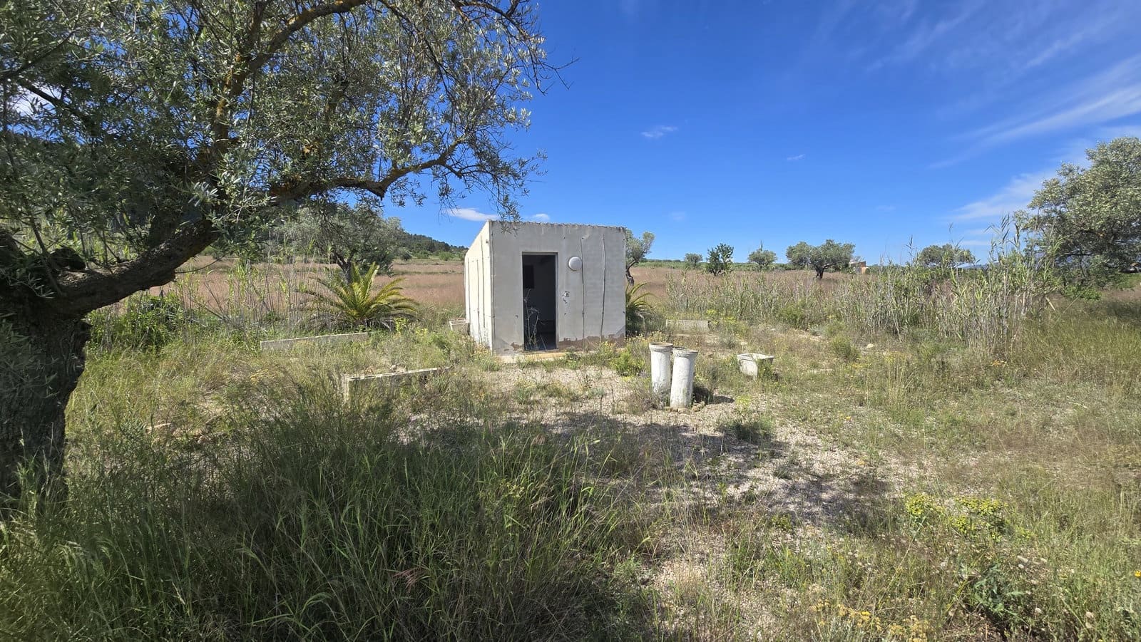 3 chambre Finca/Maison de Campagne à vendre à Sax avec piscine garage - 299 950 € (Ref: 9834532)