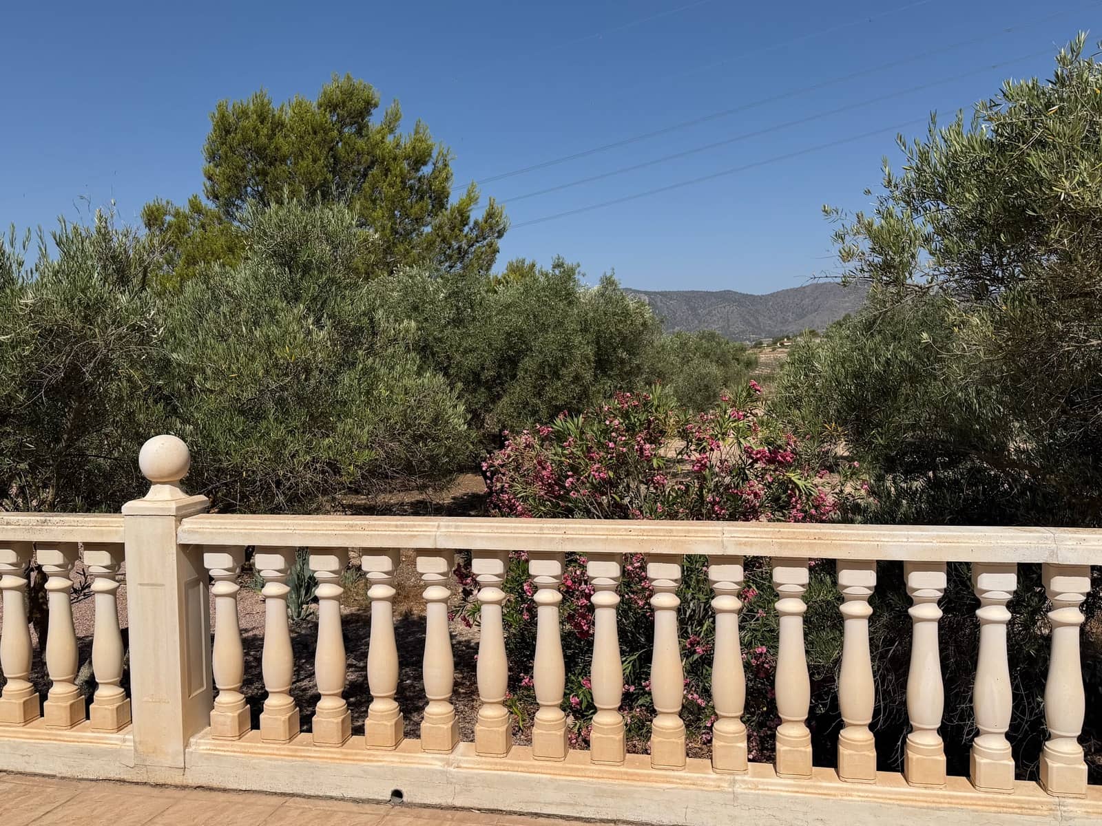 6 bedroom Villa for sale in Salinas with pool garage - € 595,000 (Ref: 9956491)