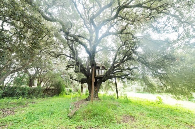 4 quarto Quinta/Casa Rural para venda em Sencelles com piscina - 950 000 € (Ref: 6651866)