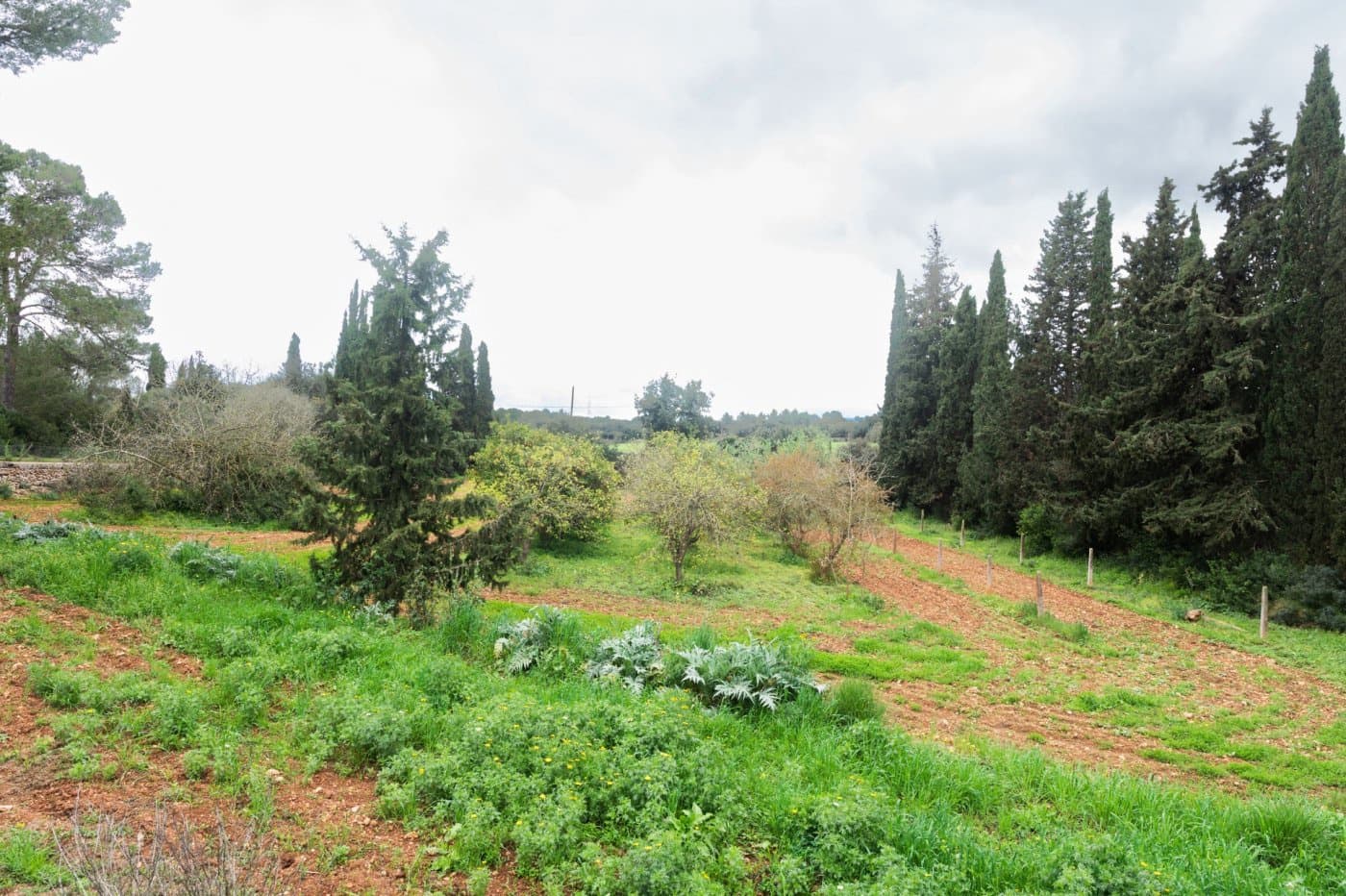 4 Zimmer Finca/Landgut zu verkaufen in Sencelles mit Pool - 950.000 € (Ref: 6651866)