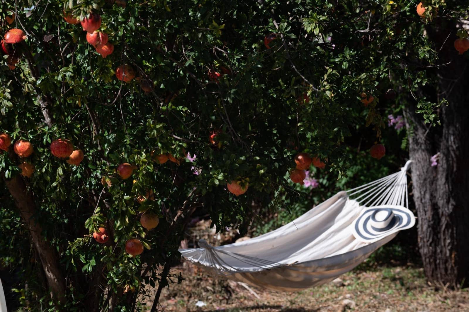 4 soverom Finca/Herregård til salgs i Campanet med svømmebasseng - € 1 090 000 (Ref: 8595432)