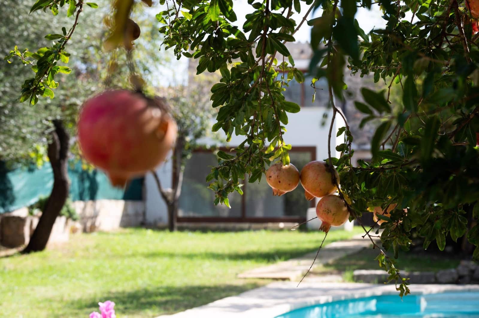 4 bedroom Finca/Country House for sale in Campanet with pool - € 1,090,000 (Ref: 8595432)