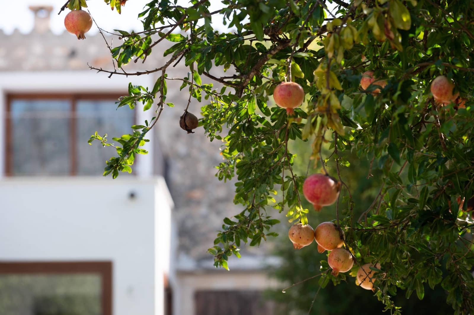 4 bedroom Finca/Country House for sale in Campanet with pool - € 1,090,000 (Ref: 8595432)