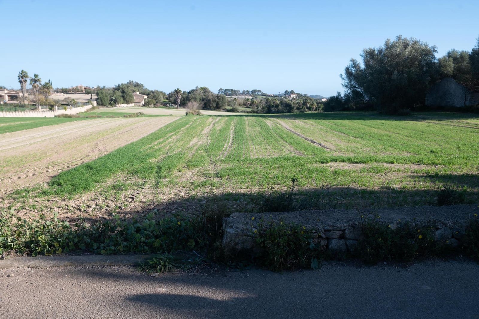 4 soveværelse Finca/Landehus til salg i Lloret de Vista Alegre - € 355.000 (Ref: 8737817)