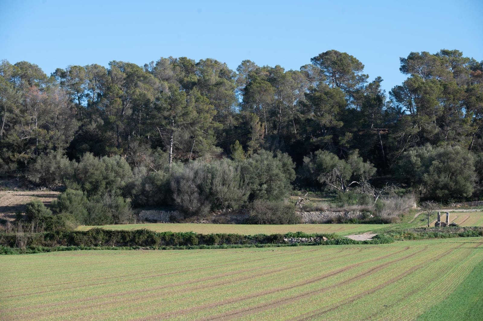 4 soveværelse Finca/Landehus til salg i Lloret de Vista Alegre - € 355.000 (Ref: 8737817)