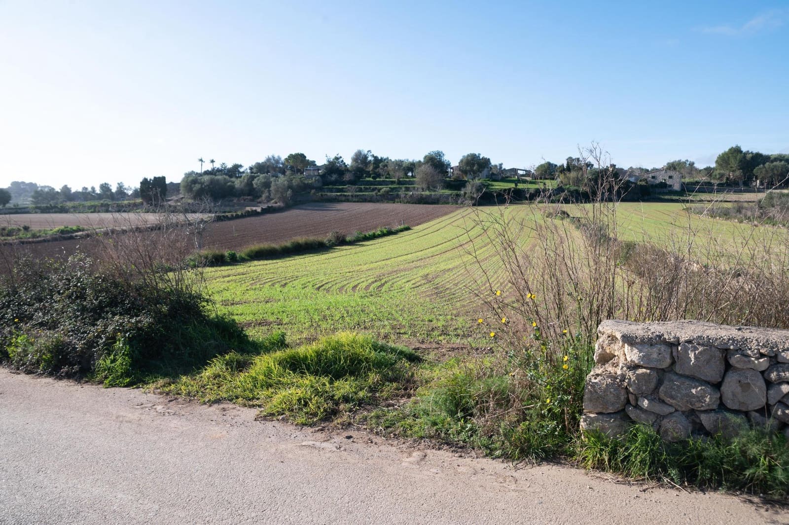 4 soveværelse Finca/Landehus til salg i Lloret de Vista Alegre - € 355.000 (Ref: 8737817)