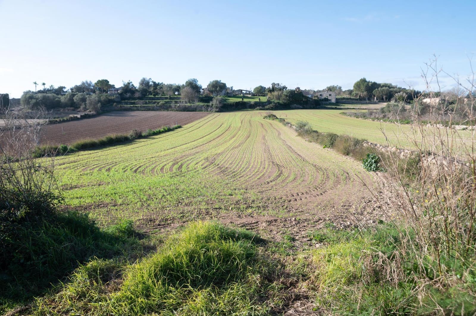 4 soveværelse Finca/Landehus til salg i Lloret de Vista Alegre - € 355.000 (Ref: 8737817)