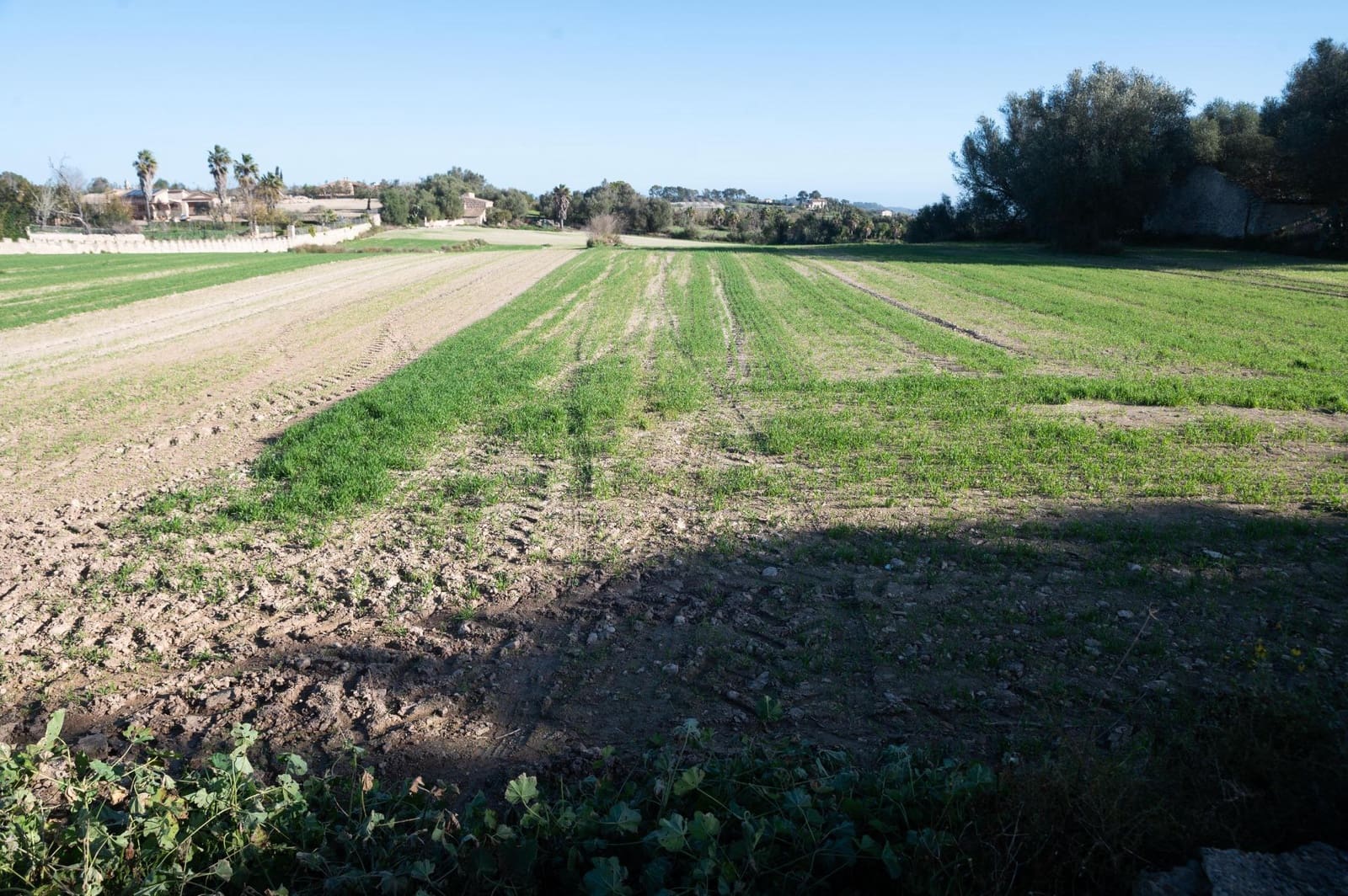 4 soveværelse Finca/Landehus til salg i Lloret de Vista Alegre - € 355.000 (Ref: 8737817)