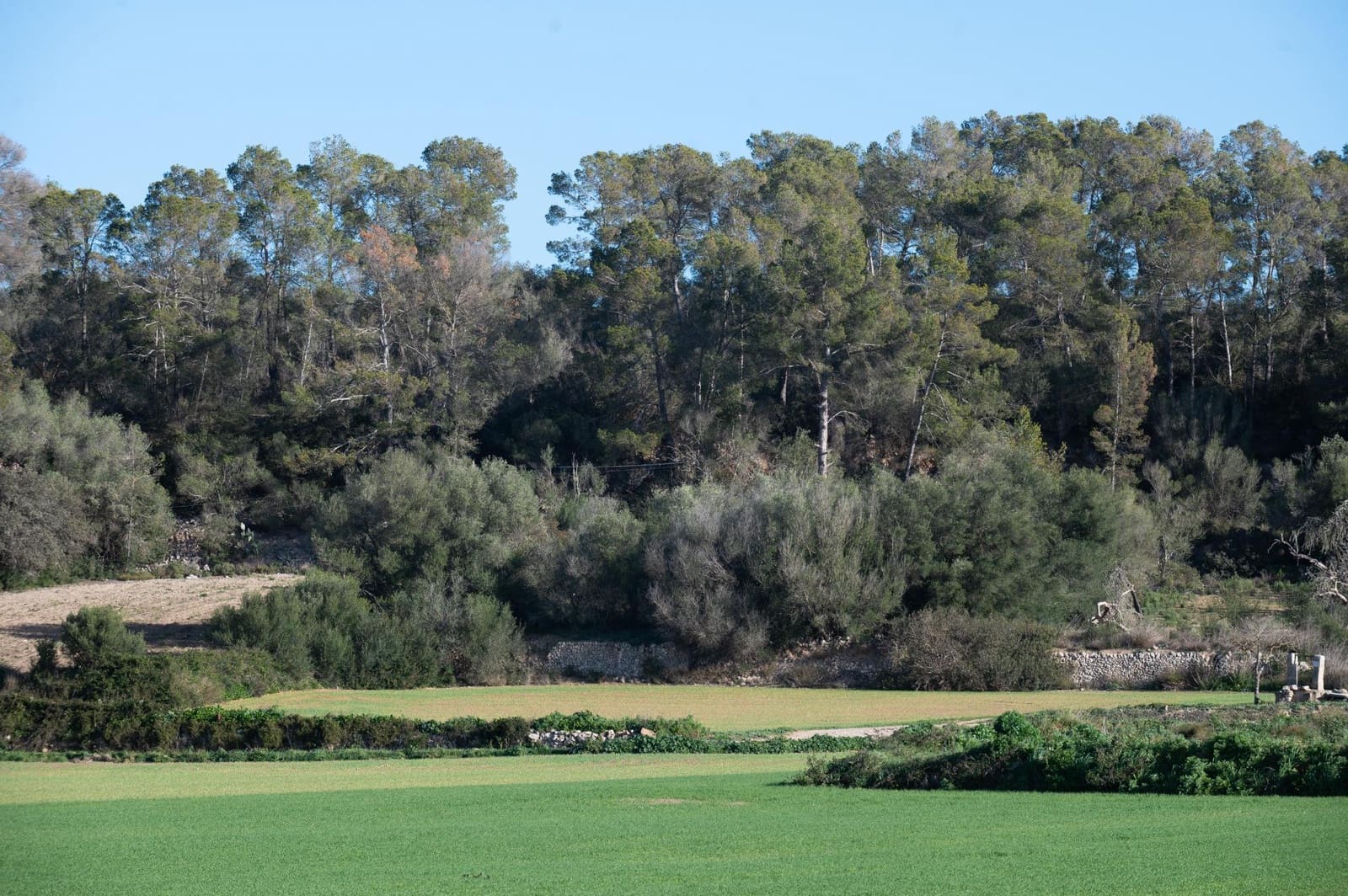 4 soveværelse Finca/Landehus til salg i Lloret de Vista Alegre - € 355.000 (Ref: 8737817)