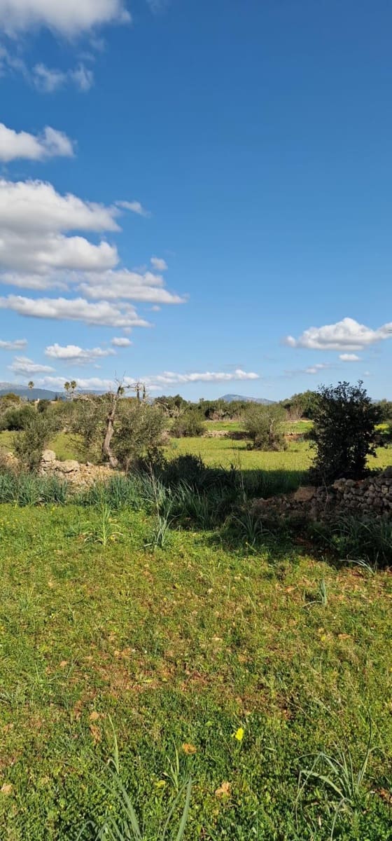 Ubebygd land til salgs i Llubi - € 215 000 (Ref: 8825181)