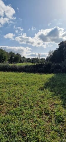 Rakentamaton maa myytävänä paikassa Llubí - 215 000 € (Ref: 8825181)