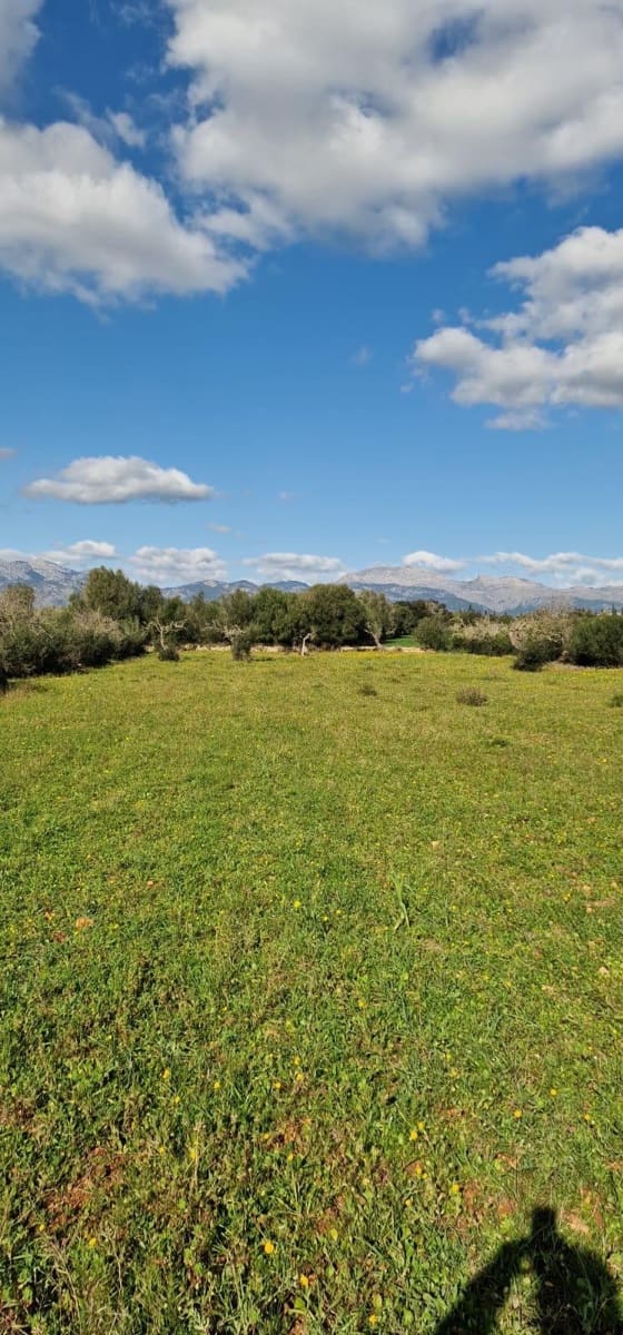 Terre non Aménagée à vendre à Llubi - 215 000 € (Ref: 8825181)