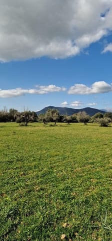 Undeveloped Land for sale in Llubí - € 215,000 (Ref: 8825181)