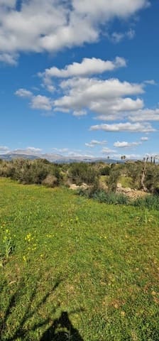 Undeveloped Land for sale in Llubí - € 215,000 (Ref: 8825181)