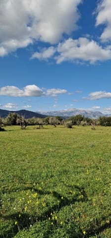 Undeveloped Land for sale in Llubí - € 215,000 (Ref: 8825181)