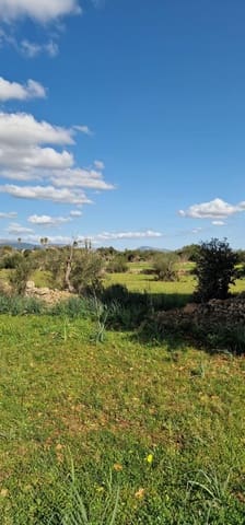 Undeveloped Land for sale in Llubí - € 215,000 (Ref: 8825181)