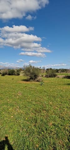 Undeveloped Land for sale in Llubí - € 215,000 (Ref: 8825181)