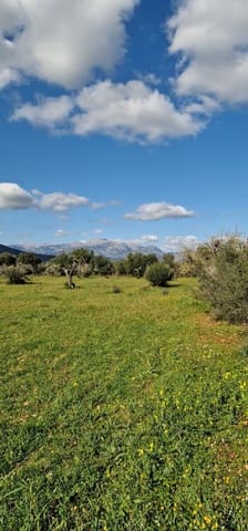 Undeveloped Land for sale in Llubí - € 215,000 (Ref: 8825181)