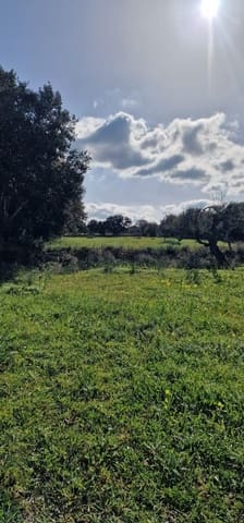 Undeveloped Land for sale in Llubí - € 215,000 (Ref: 8825181)
