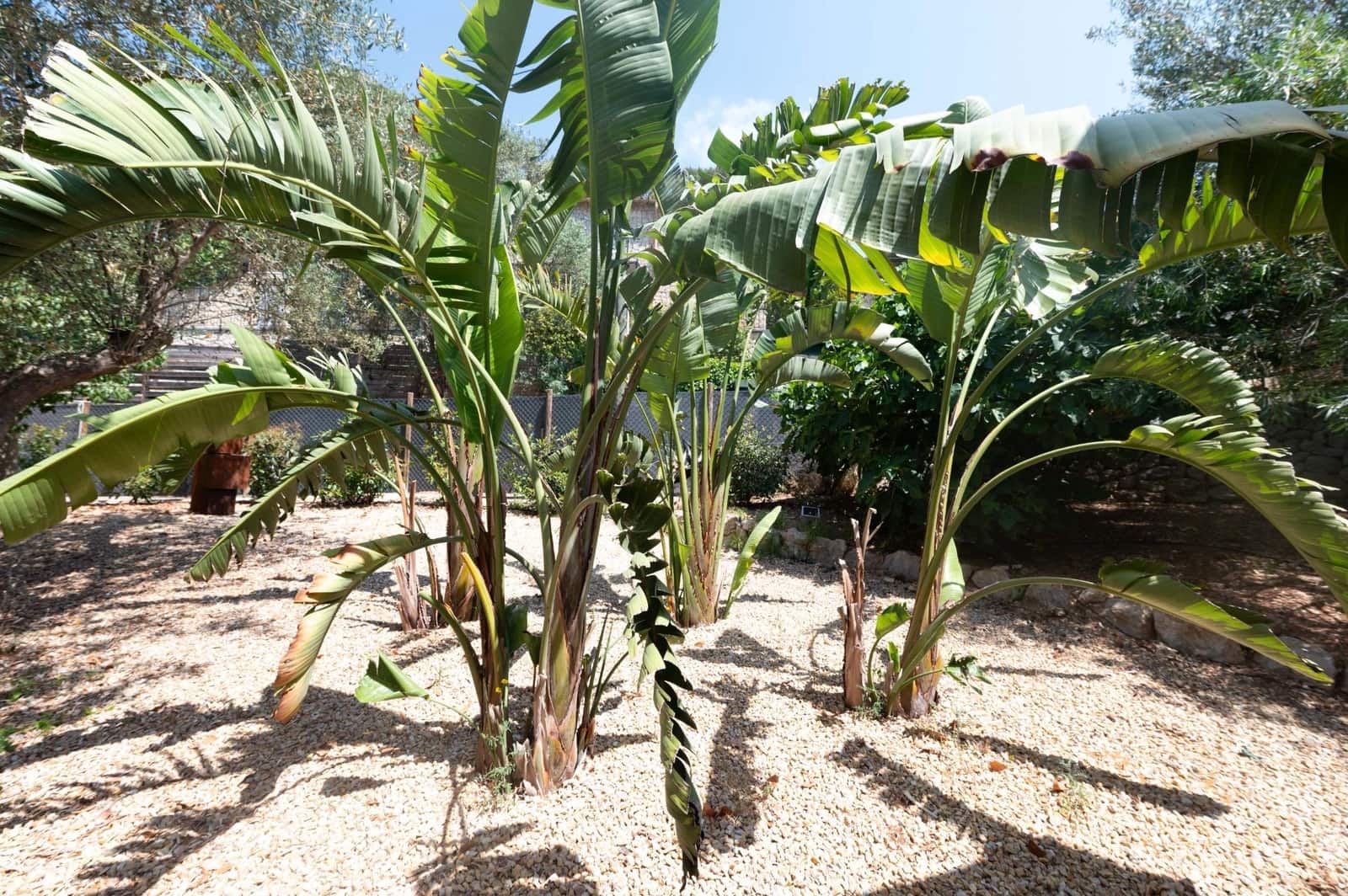 3 sypialnia Willa na sprzedaż w Galilea z basenem - 1 280 000 € (Ref: 8981057)