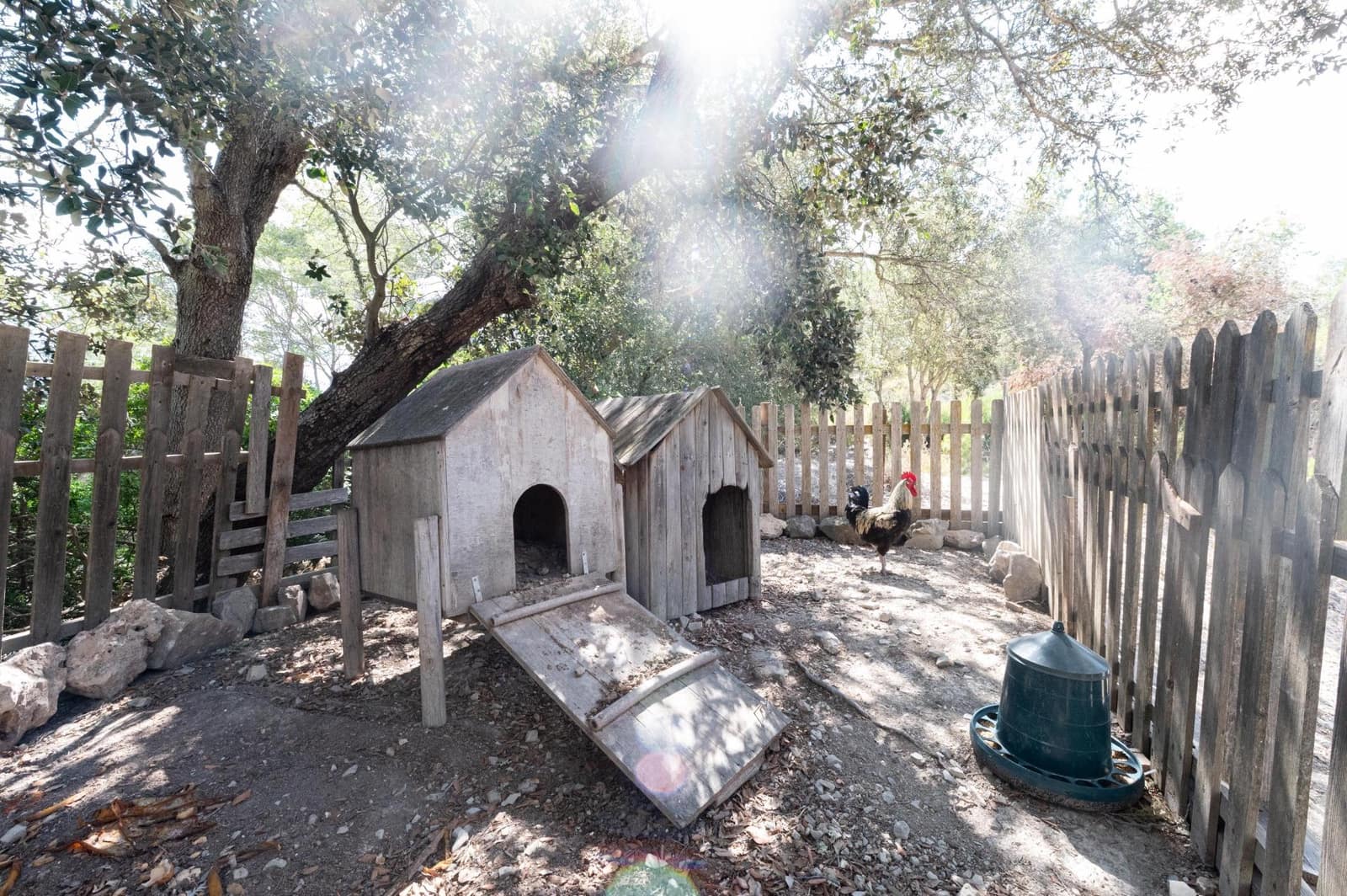 3 sypialnia Finka/Dom wiejski na sprzedaż w Sineu z basenem garażem - 1 580 000 € (Ref: 9156095)